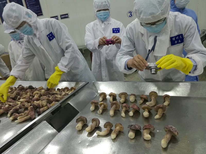 大理博琪尼食品有限公司 迎來了首批日本客商到廠實(shí)地考察 并簽訂供貨合同